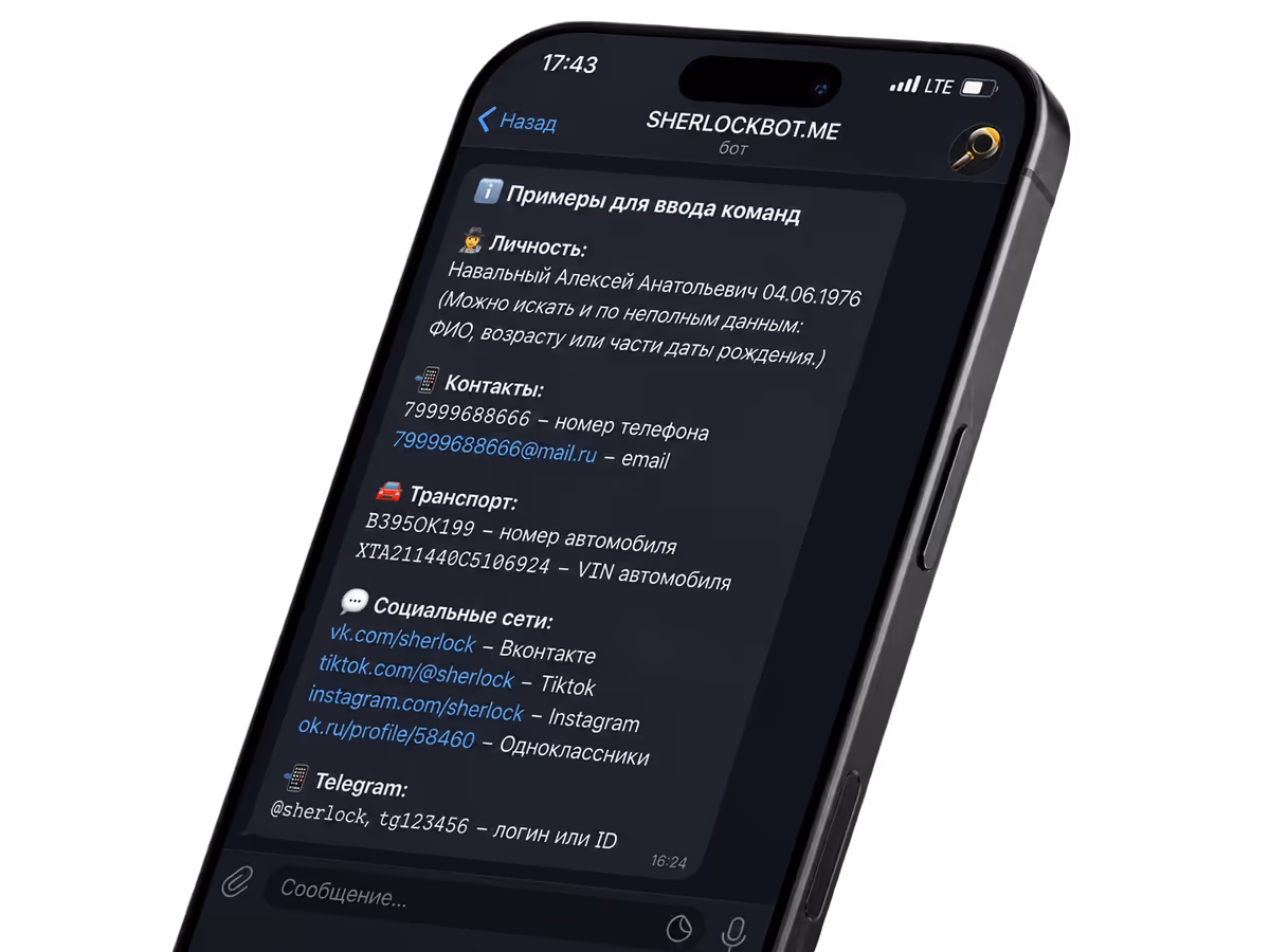 Интерфейс Шерлок Бот в Telegram с примерами данных для поиска